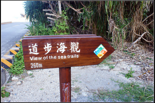 DSC04449