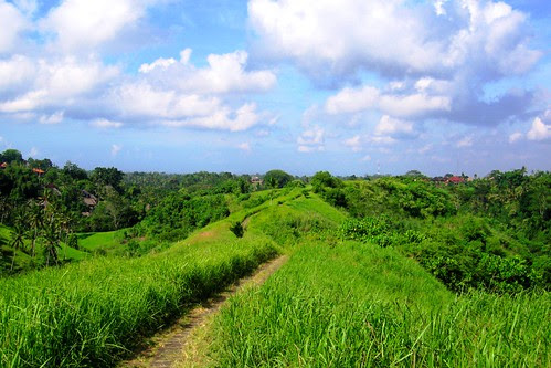 campuhan ridge track