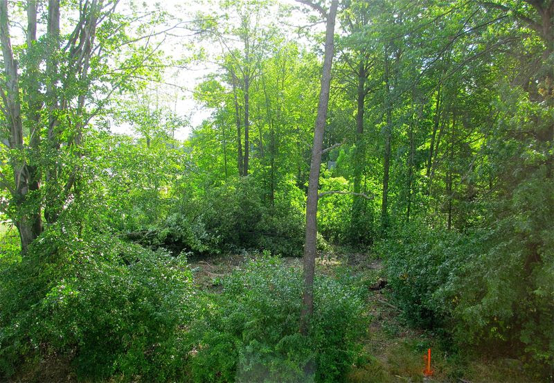 Garden Ideas For Wooded Areas | Architecture Decorating Ideas Garden Ideas For Wooded Areas | Architecture Decorating Ideas on Wooded Backyard Ideas id=74736
