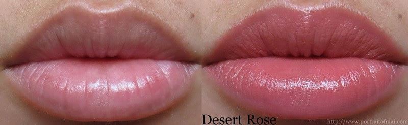 Performance Colors Semi Matte Lipstick in Desert Rose