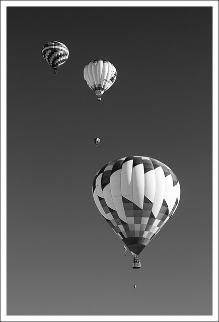 Great Forest Park Balloon Race 2013 5 BW