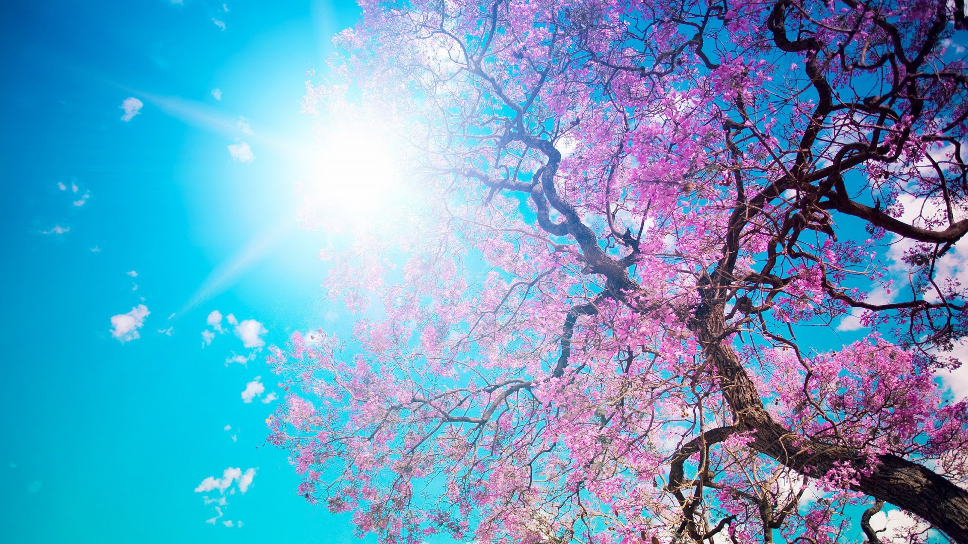 Spring Wallpapers Best Wallpapers Spring Wallpapers Best Wallpapers
