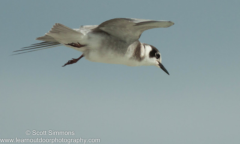 Photo & Video Sharing by SmugMug Photo & Video Sharing by SmugMug