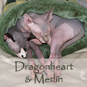 Dragonheart & Merlin