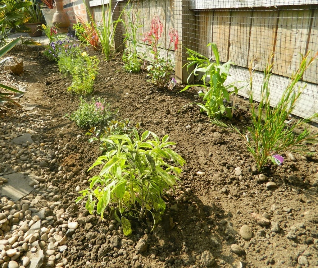 Review Homebase Garden On A Roll Love Chic Living Review Homebase Garden On A Roll Love Chic Living