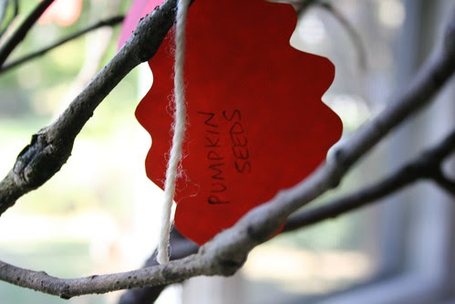 Seasonal gratitude