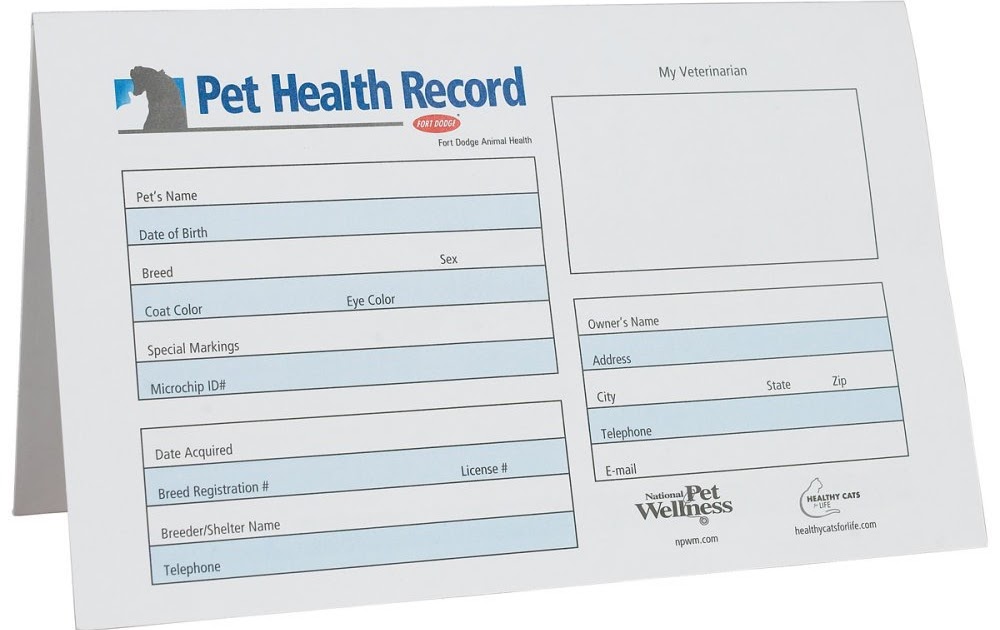 printable-pet-health-record-template-excel
