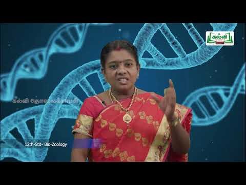 12th Bio Zoology இனப்பெருக்க நலன் அலகு 1 பாடம் 3 Kalvi TV