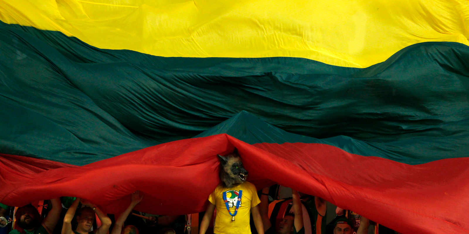 Lithuania's fans wave flag and cheer on their team during their FIBA Basketball World Championship game against France in Izmir September 1, 2010.