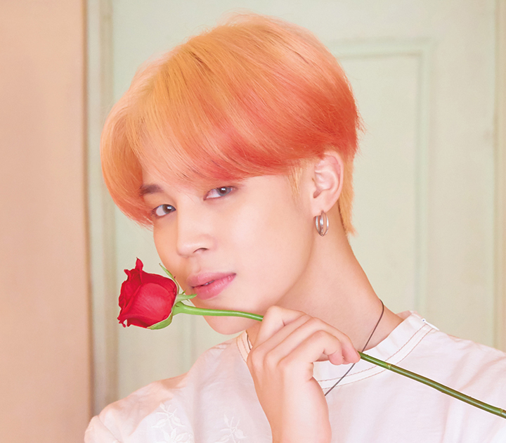 Bts Members And Their Hometown - btsan
