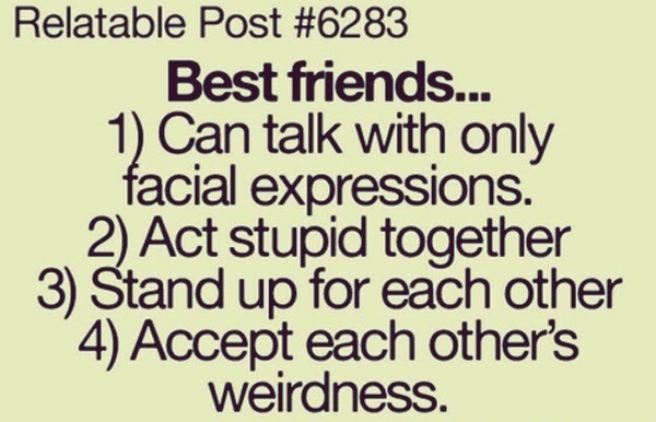 Dumbass Best Friends Quotes With Pictures (17)