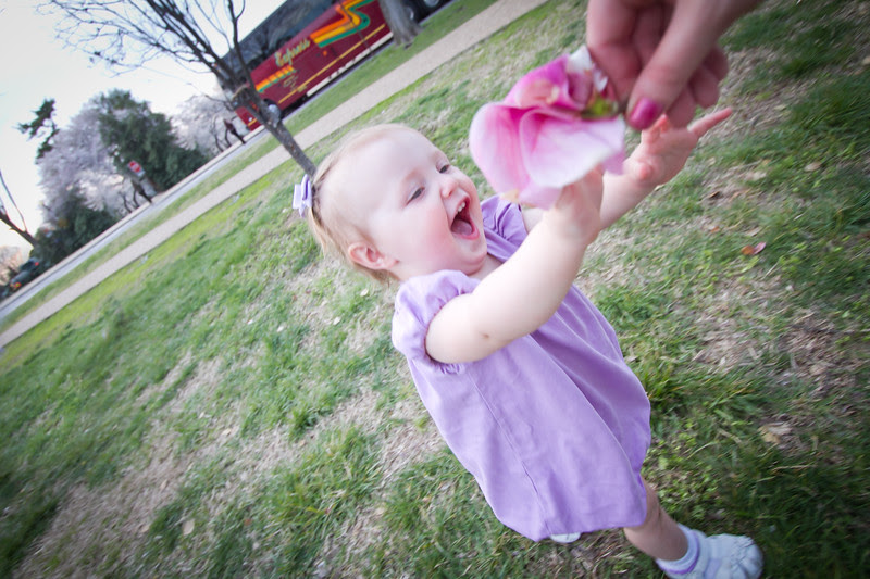 baby family photography nj ny