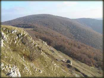 Velika Tresta sa vrha Straže