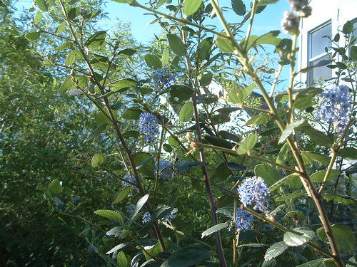 DSCF0970