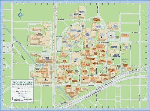 stanxilogkalf: university of miami campus
