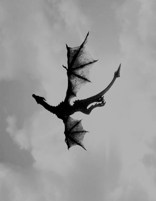 black and white, dragon, fly, free, sky