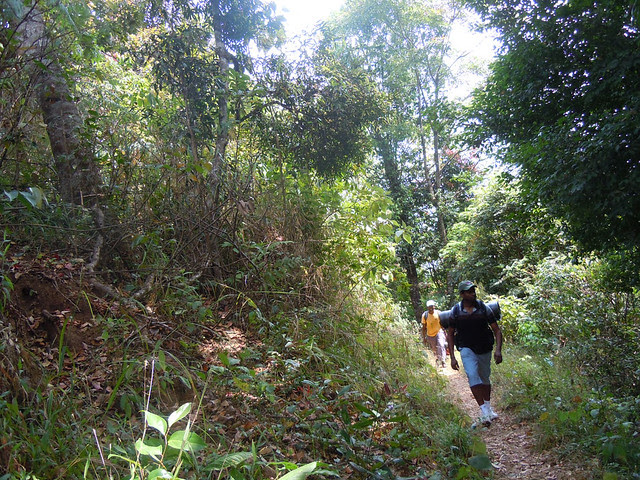 Brahmagiri_Trek_Path2