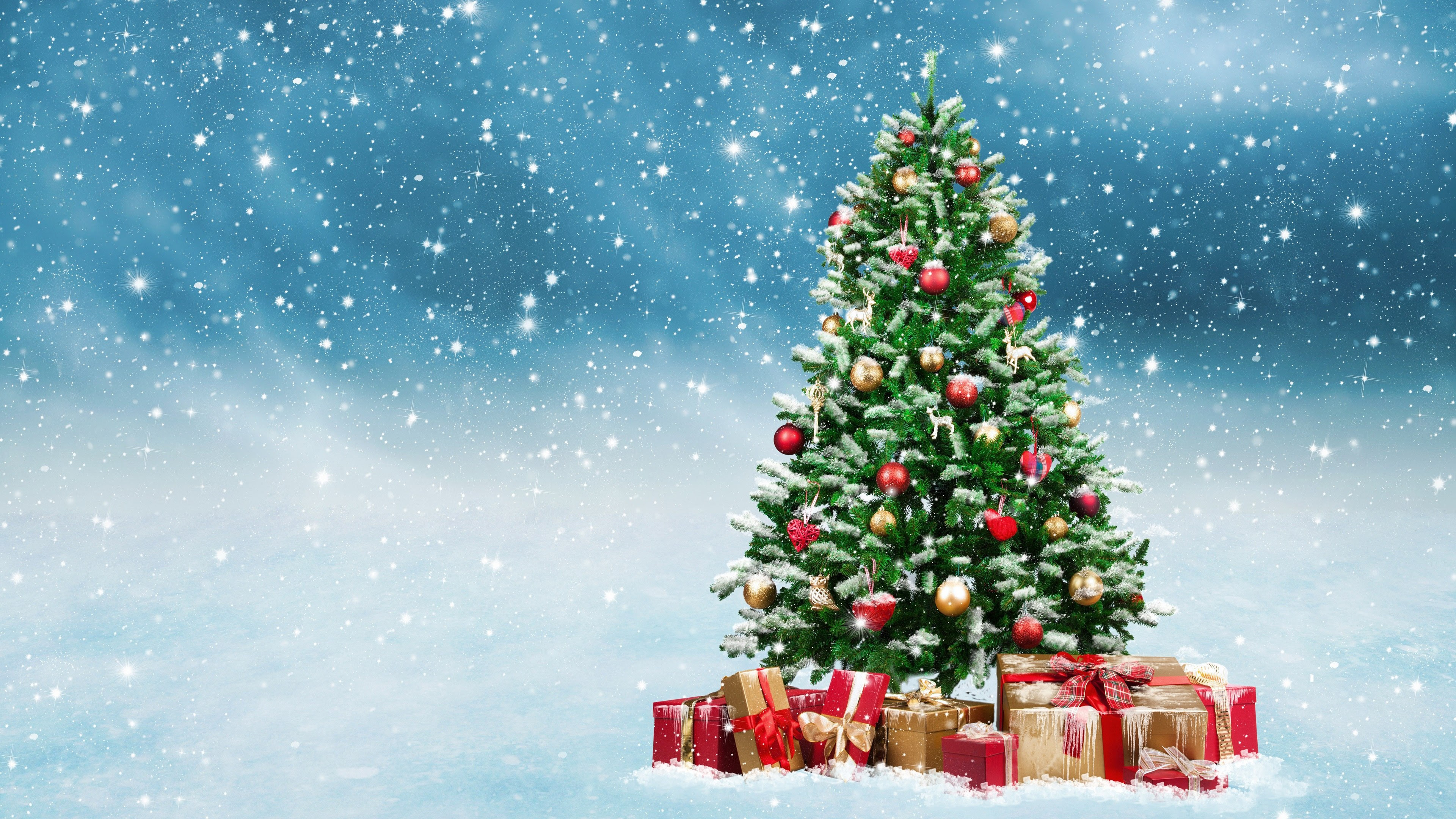 Dppicture: Christmas Tree Wallpaper 4k