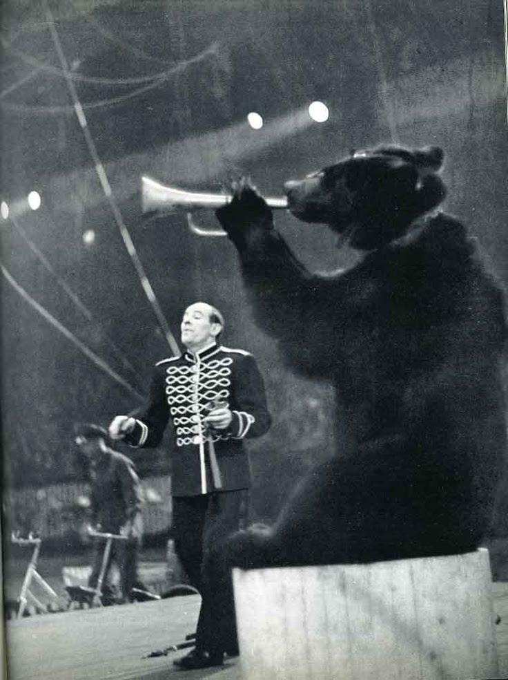 Le numéro 7 concerne le cirque. Le numéro 7 concerne le cirque.