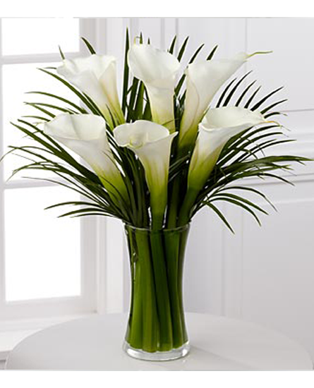 Poze Blog: Imagini Cale Flori