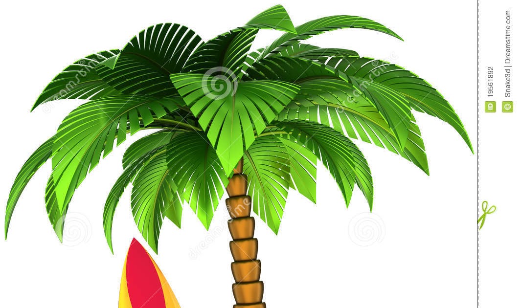 Palm Tree Clipart Free - Rectangle Circle