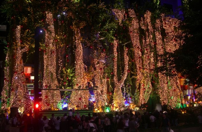 Beautiful Christmas (71 pics) Beautiful Christmas (71 pics)