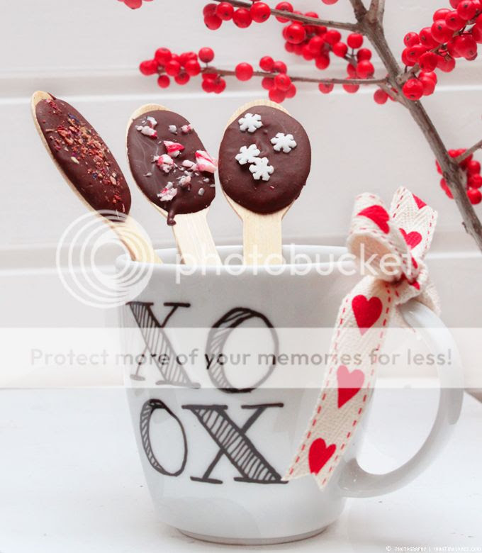 http://i402.photobucket.com/albums/pp103/Sushiina/cityglam/cityglam001/chocospoon5_zps11127d36.jpg