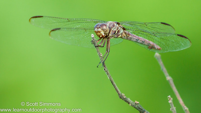 Photo & Video Sharing by SmugMug Photo & Video Sharing by SmugMug