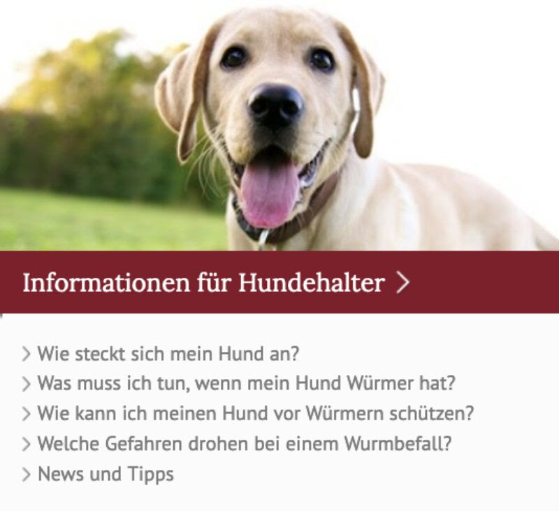 Parasiten Hund Kot Ist das ein spülwurm bei meinem Hund? (krank