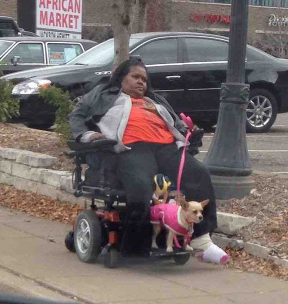 Funny Pictures (128 photos) Funny Pictures (128 photos)