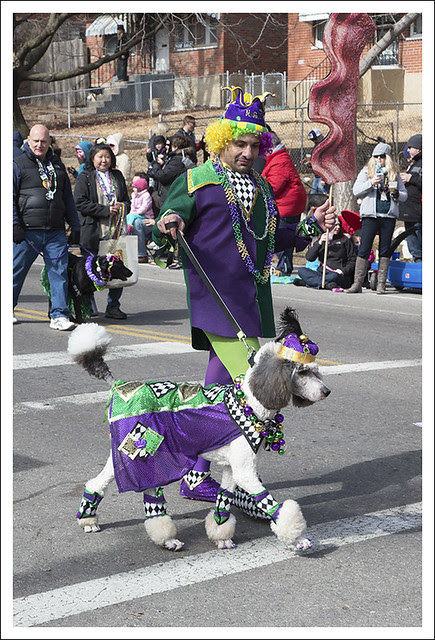 Barkus Parade 2014-02-23 7