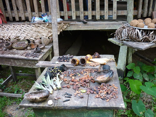P1000562