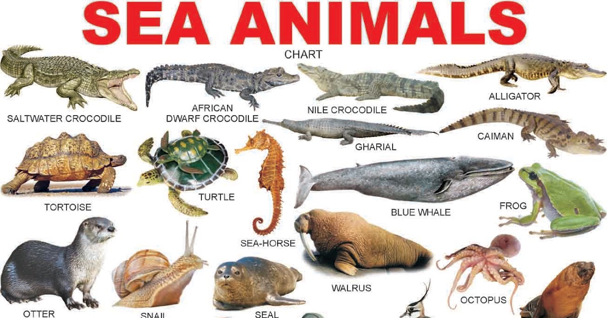 sea dinosaurs names list