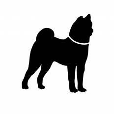 かわいい動物画像 75 秋田犬 イラスト 簡単