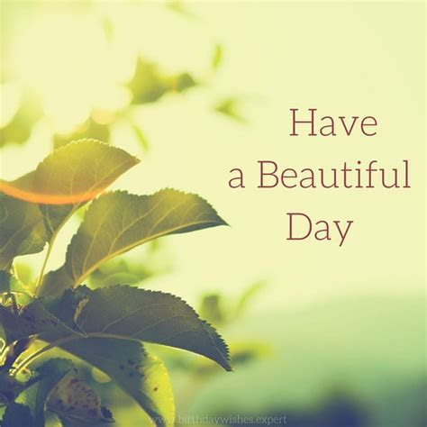 Good Morning Card Pictures, Photos, and Images for Good Morning Card Pictures, Photos, and Images for