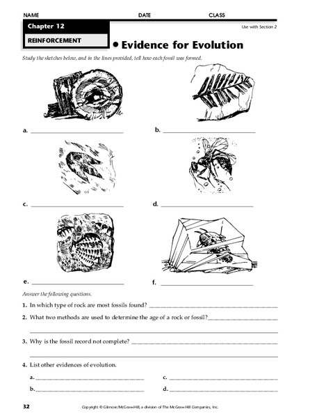 28 Evidence For Evolution Worksheet - Worksheet Resource Plans