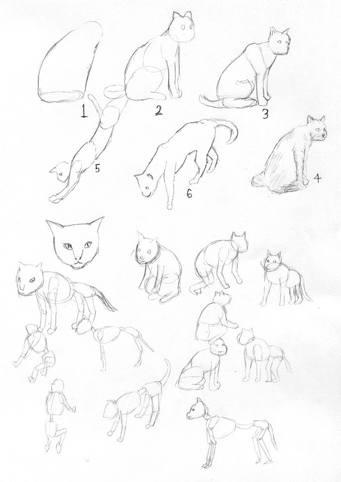 無料イラスト画像 ぜいたく猫 リアル イラスト 描き方