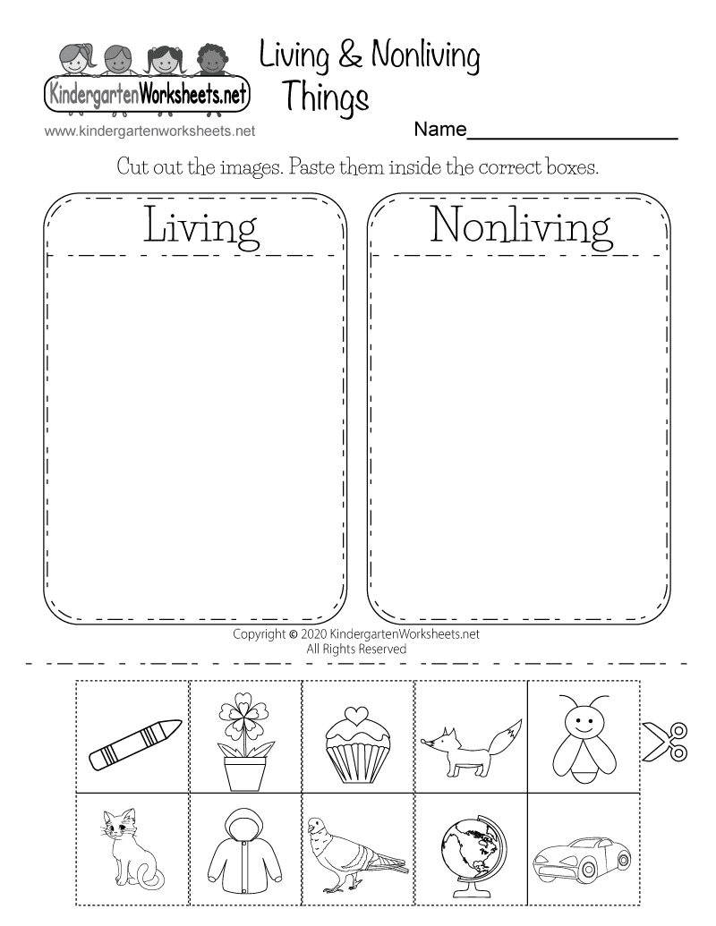 6th-grade-science-worksheets-for-grade-6-pdf-class-6-science