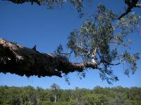 Free Image Hosting at www.ImageShack.us