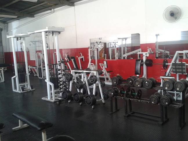 Academia Dia De Treinamento - Academia