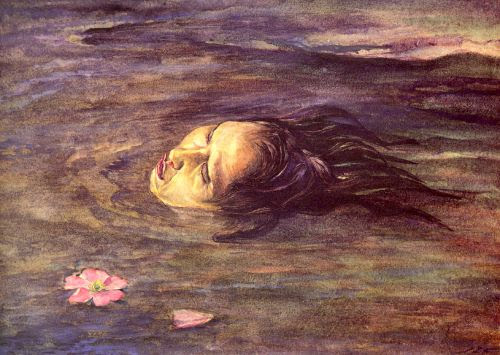 The Strange Thing Little Kiosai Saw In The River The Strange Thing Little Kiosai Saw In The River