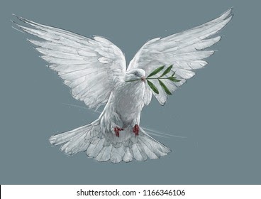 Featured image of post View 19 Dove Drawing With Color