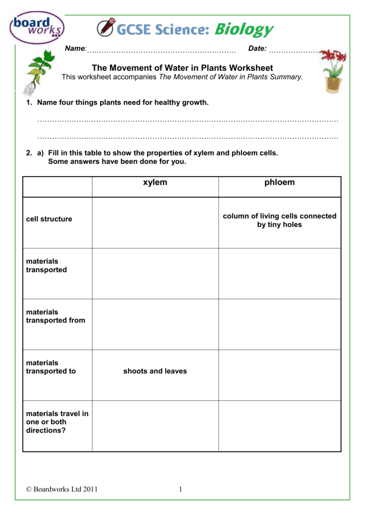 49 MATH QUIZ WORKSHEET FOR GRADE 2