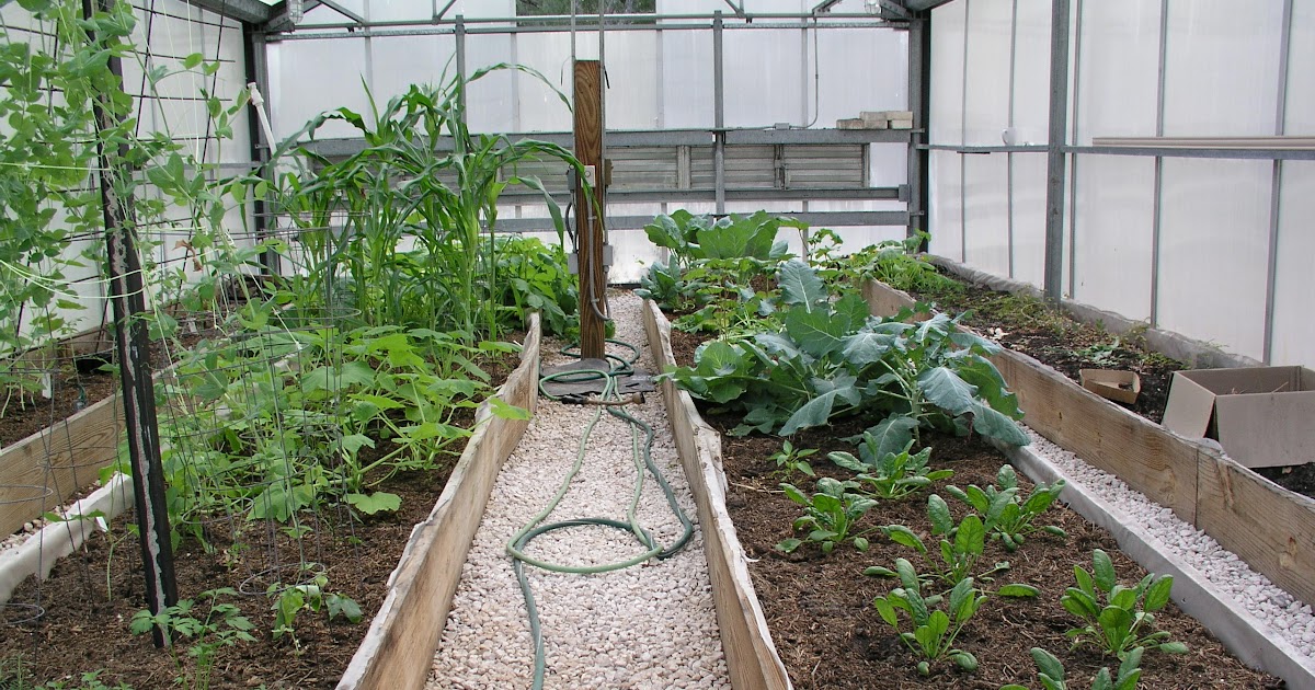 Growing Potatoes In Raised Garden Beds 47 Unconventional But Totally Awesome Wedding Ideas