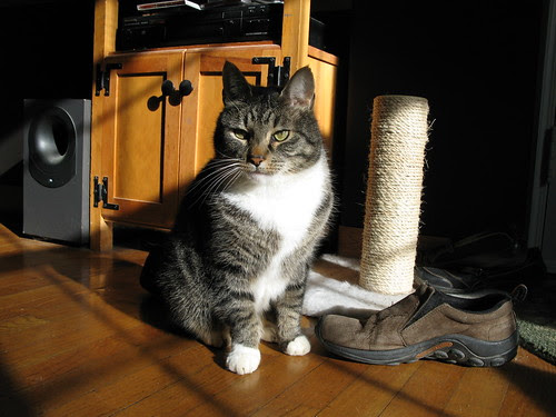 Murderface in sunshine