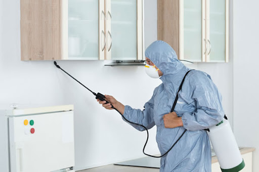 How Do Pest Control Professionals Serve Fort Lauderdale Citizens?