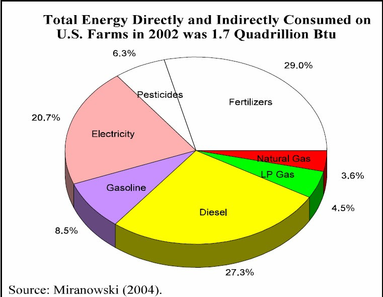 Crazy Eddie's Motie News: "We eat a lot of oil"