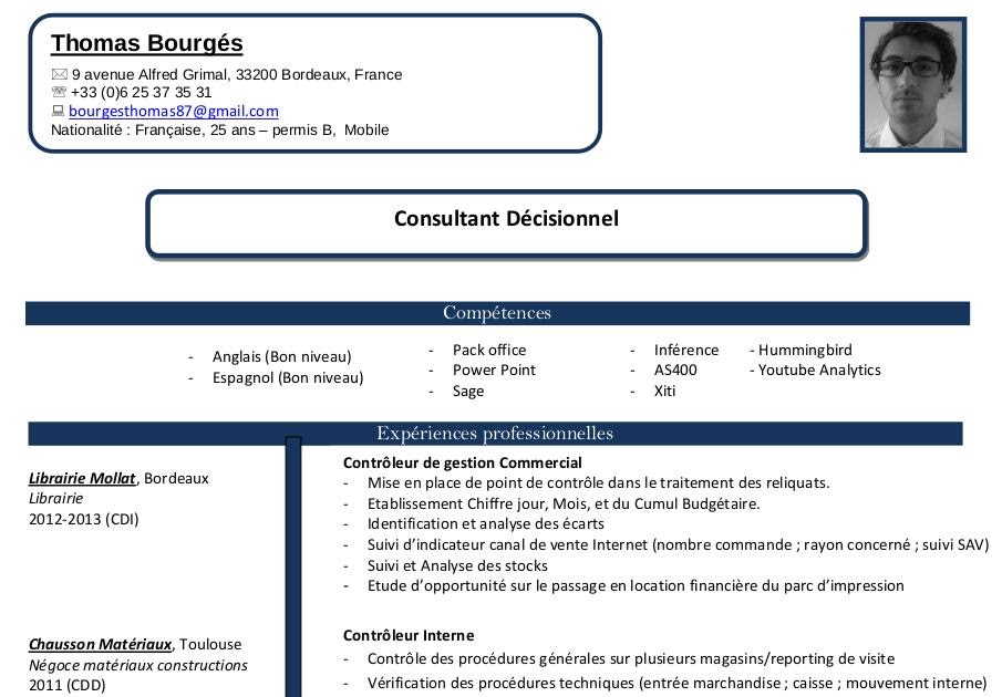 resume format  mod u00e8le cv consultant