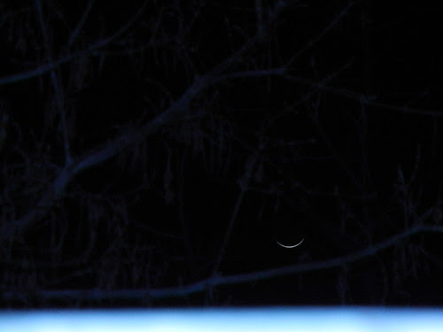 New Moon _ 1563