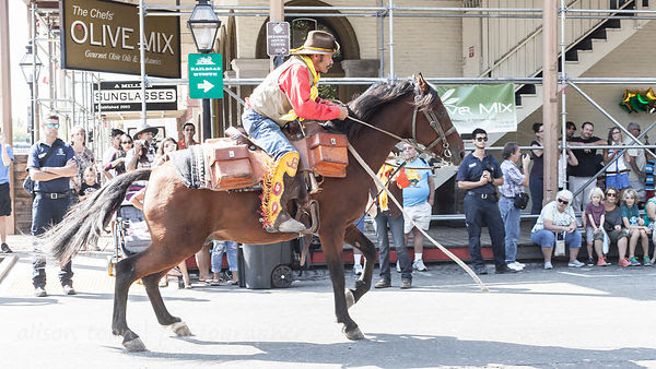 Pony express,Gold Rush Days 2016